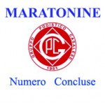 Logo numero ineR Logo numero ineR