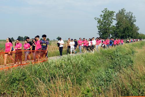 IMG 7952