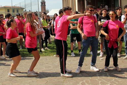 IMG 7984