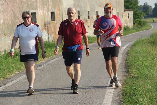 IMG 2778