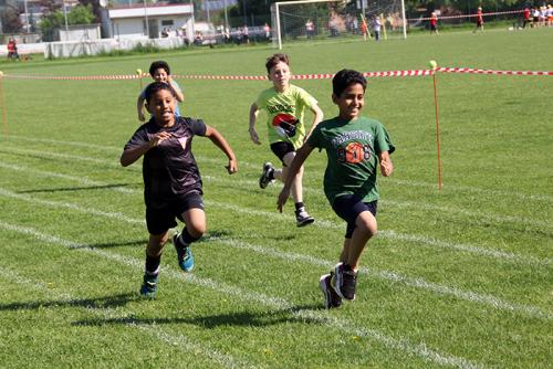 IMG 5299
