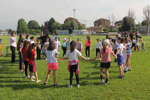 IMG 2013