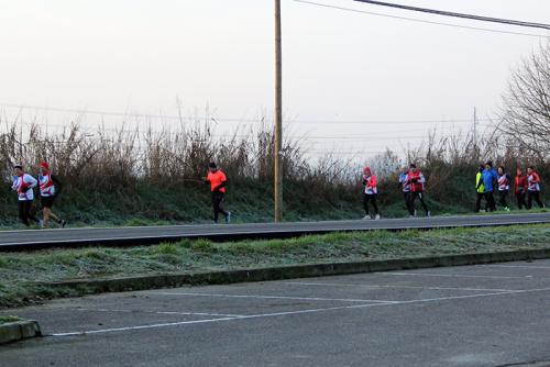 IMG 0238