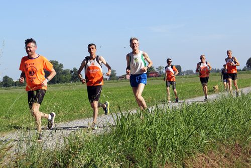 IMG 2642